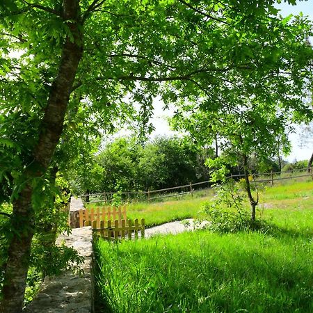 Casinha Rubiaes Villa Paredes de Coura Ngoại thất bức ảnh