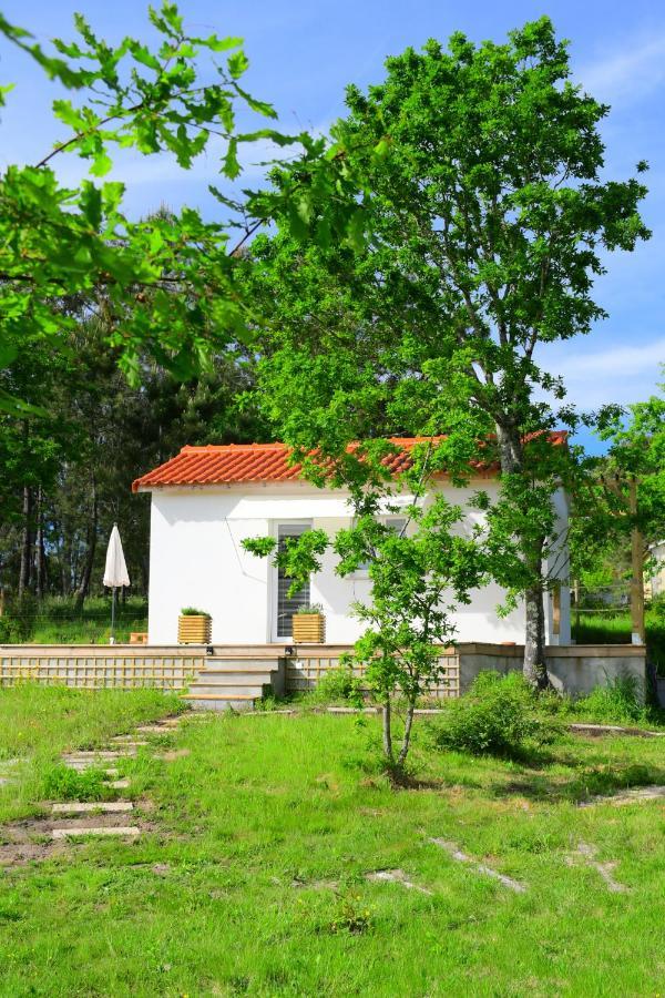 Casinha Rubiaes Villa Paredes de Coura Ngoại thất bức ảnh